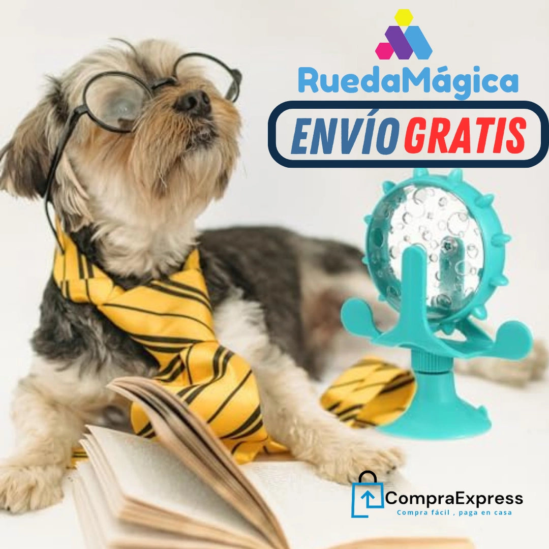 RuedaMágica™ - Diversión, Alimentación y Cuidado para tus Mascotas