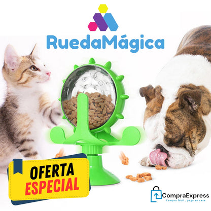 RuedaMágica™ - Diversión, Alimentación y Cuidado para tus Mascotas